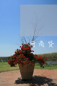 网商贷还款逾期一天 网商贷还款逾期一天