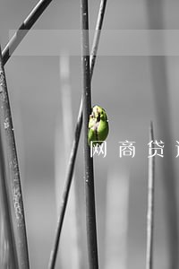 网商贷还款逾期影响购房吗