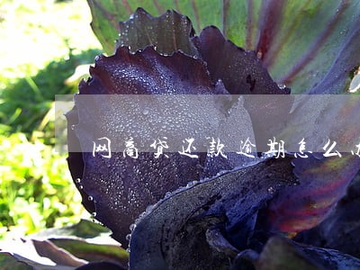 网商贷还款逾期怎么办 网商贷还款逾期怎么办