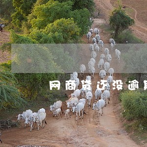 网商贷还没逾期怎么协商 网商贷还没逾期怎么协商