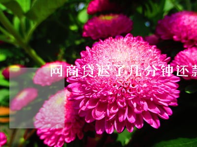 网商贷迟了几分钟还款算逾期吗 网商贷迟了几分钟还款算逾期吗
