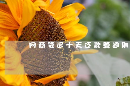网商贷迟十天还款算逾期吗