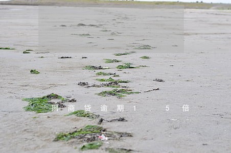 网商贷逾期1.5倍 网商贷逾期1.5倍