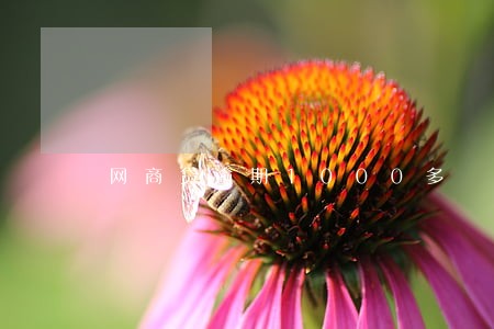 网商贷逾期1000多 网商贷逾期1000多