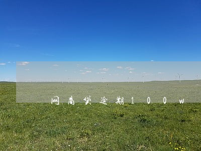 网商贷逾期100w 网商贷逾期100w