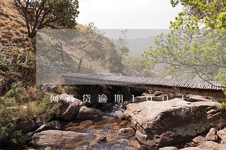 网商贷逾期100天 网商贷逾期100天