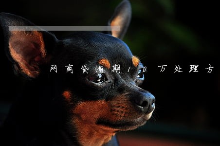 网商贷逾期10万处理方法