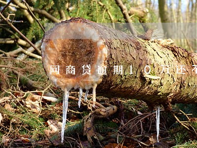 网商贷逾期10万还不上怎么办 网商贷逾期10万还不上怎么办