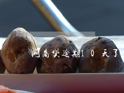 网商贷逾期10天了怎么办 网商贷逾期10天了怎么办