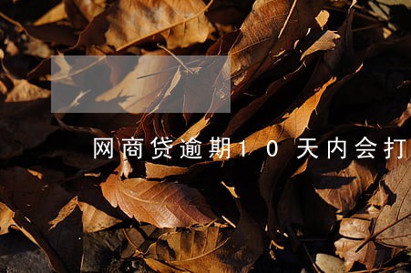 网商贷逾期10天内会打电话吗 网商贷逾期10天内会打电话吗