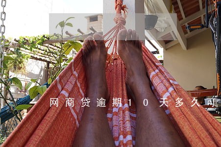 网商贷逾期10天多久可以开 网商贷逾期10天多久可以开