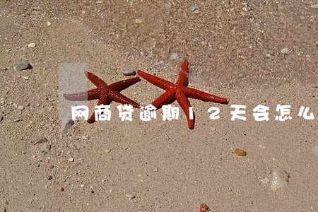 网商贷逾期12天会怎么样 网商贷逾期12天会怎么样