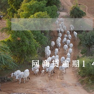 网商贷逾期14天会怎样 网商贷逾期14天会怎样