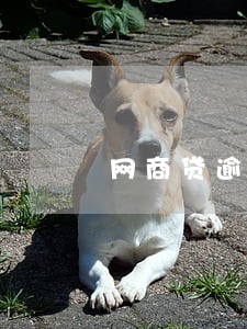 网商贷逾期15万 网商贷逾期15万