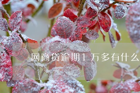 网商贷逾期1万多有什么后果 网商贷逾期1万多有什么后果