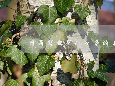 网商贷逾期1万多的后果 网商贷逾期1万多的后果