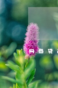 网商贷逾期1个月会黑户么 网商贷逾期1个月会黑户么