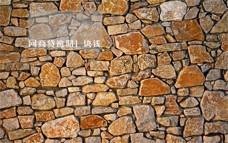 网商贷逾期1块钱 网商贷逾期1块钱