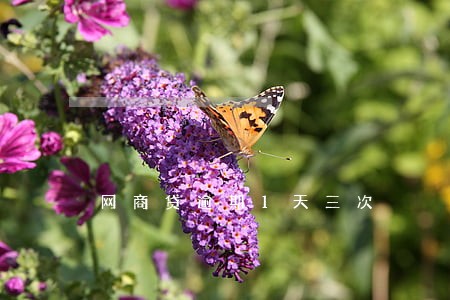 网商贷逾期1天三次 网商贷逾期1天三次