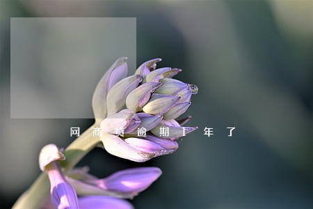 网商贷逾期1年了 网商贷逾期1年了