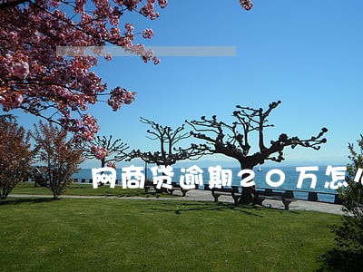 网商贷逾期20万怎么办 网商贷逾期20万怎么办