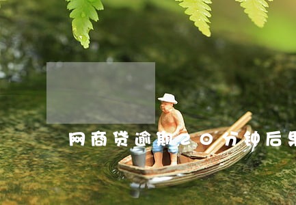 网商贷逾期20分钟后果 网商贷逾期20分钟后果