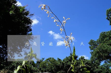 网商贷逾期23天 网商贷逾期23天