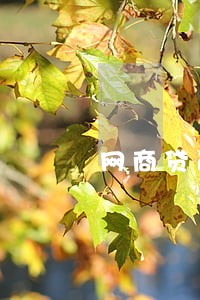 网商贷逾期28天会上门吗 网商贷逾期28天会上门吗