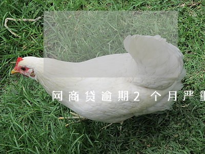 网商贷逾期2个月严重吗 网商贷逾期2个月严重吗