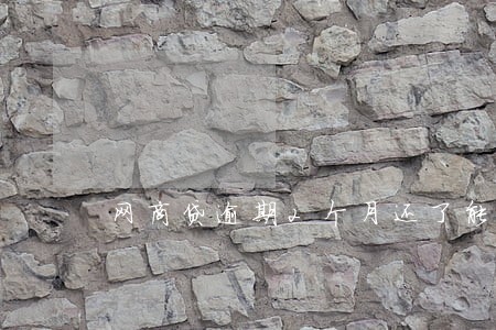 网商贷逾期2个月还了能再用么 网商贷逾期2个月还了能再用么