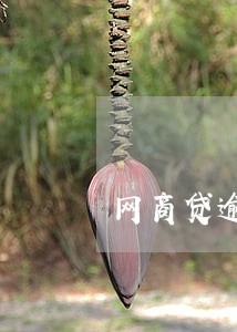 网商贷逾期2分钟 网商贷逾期2分钟