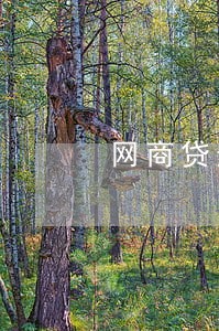 网商贷逾期2天会怎样 网商贷逾期2天会怎样