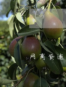 网商贷逾期2天就被关闭 网商贷逾期2天就被关闭
