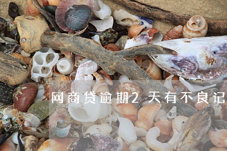 网商贷逾期2天有不良记录吗 网商贷逾期2天有不良记录吗