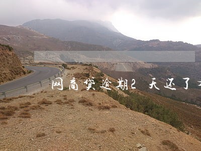 网商贷逾期2天还了有影响吗 网商贷逾期2天还了有影响吗