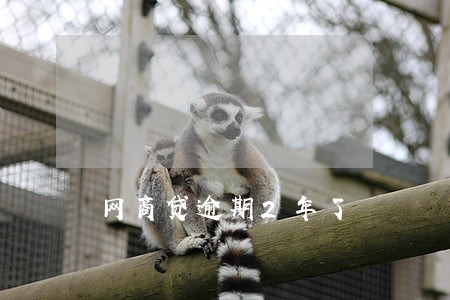 网商贷逾期2年了 网商贷逾期2年了