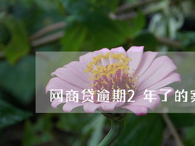 网商贷逾期2年了的案例