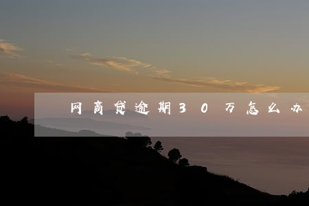 网商贷逾期30万怎么办 网商贷逾期30万怎么办