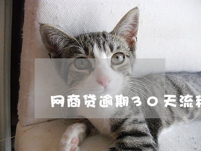 网商贷逾期30天流程 网商贷逾期30天流程