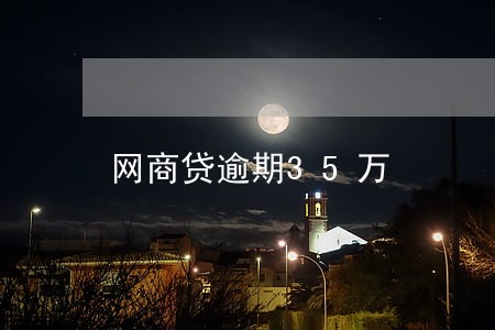 网商贷逾期35万 网商贷逾期35万