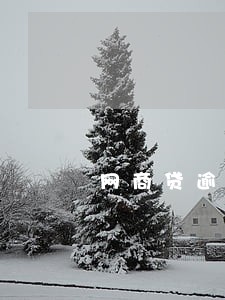 网商贷逾期3万日利息多少 网商贷逾期3万日利息多少