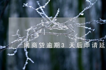 网商贷逾期3天后申请延期 网商贷逾期3天后申请延期