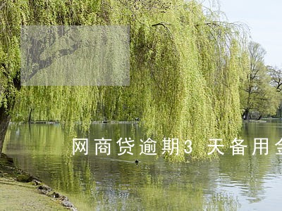 网商贷逾期3天备用金被关了
