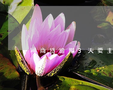 网商贷逾期3天要主动打电话吗 网商贷逾期3天要主动打电话吗