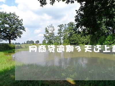 网商贷逾期3天还上款能用吗