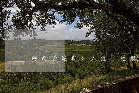 网商贷逾期3天还了还能用借吗