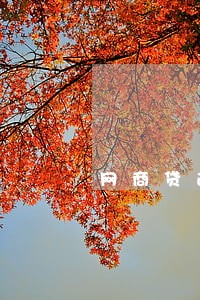 网商贷逾期3天还款后没有额度 网商贷逾期3天还款后没有额度