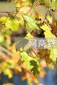 网商贷逾期3天还能用吗