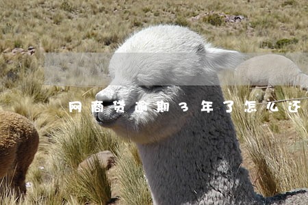 网商贷逾期3年了怎么还 网商贷逾期3年了怎么还