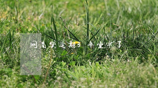 网商贷逾期3年坐牢了 网商贷逾期3年坐牢了